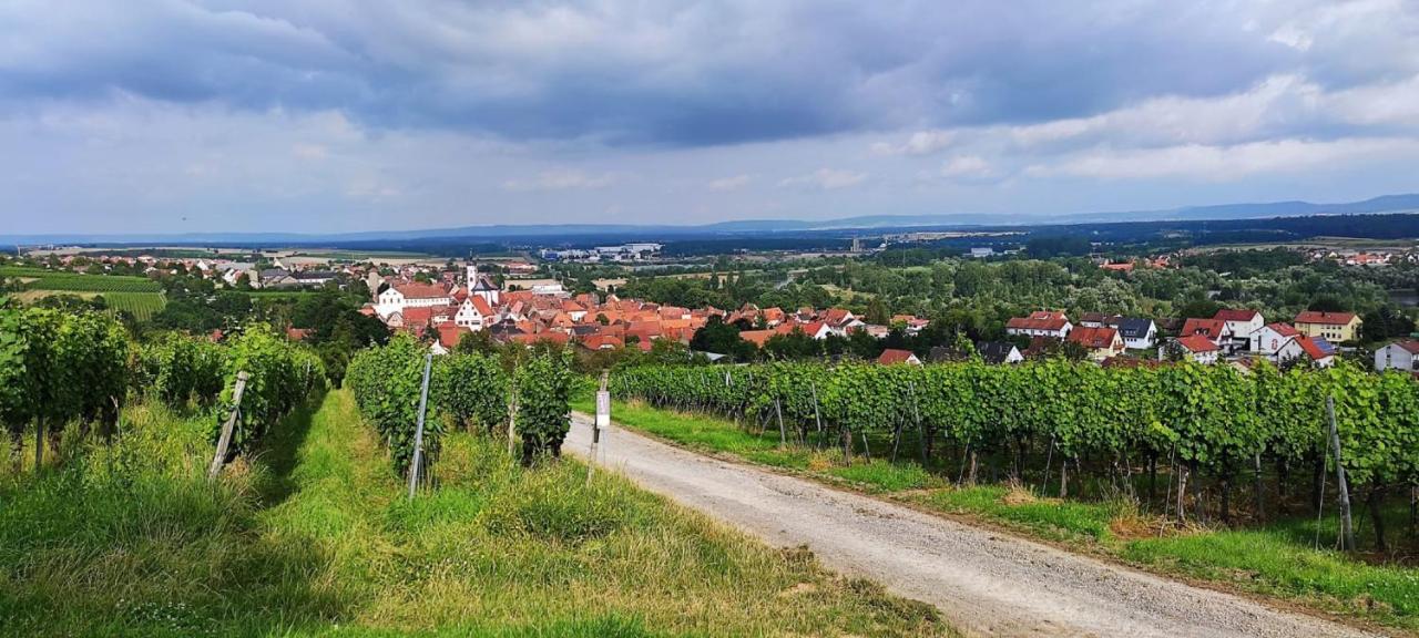 Ferienwohnung Fackelmann Dettelbach Buitenkant foto